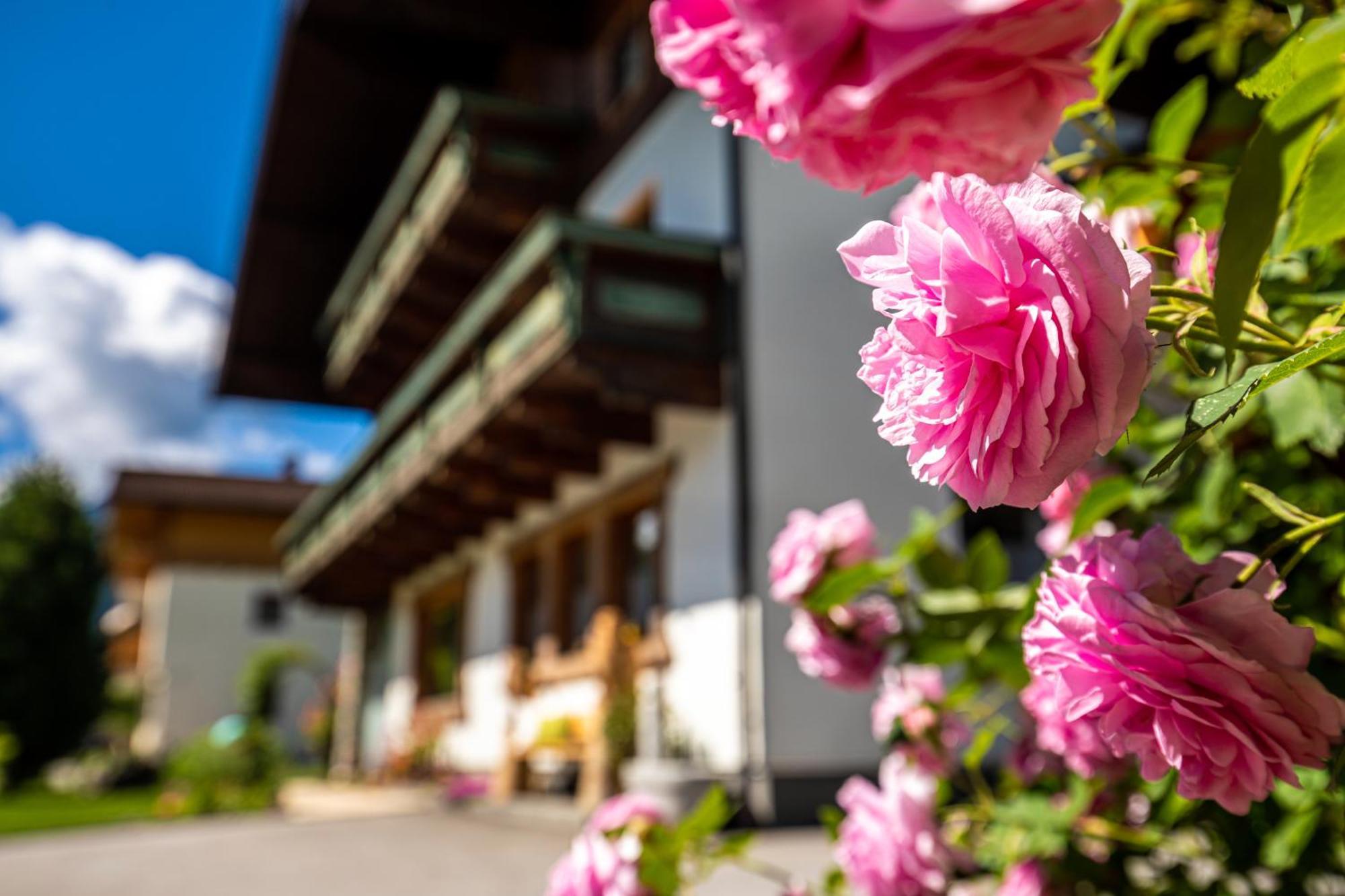 Holiday Im Gaestehaus Warter In Altenmarkt Альтенмаркт-ім-Понгау Екстер'єр фото