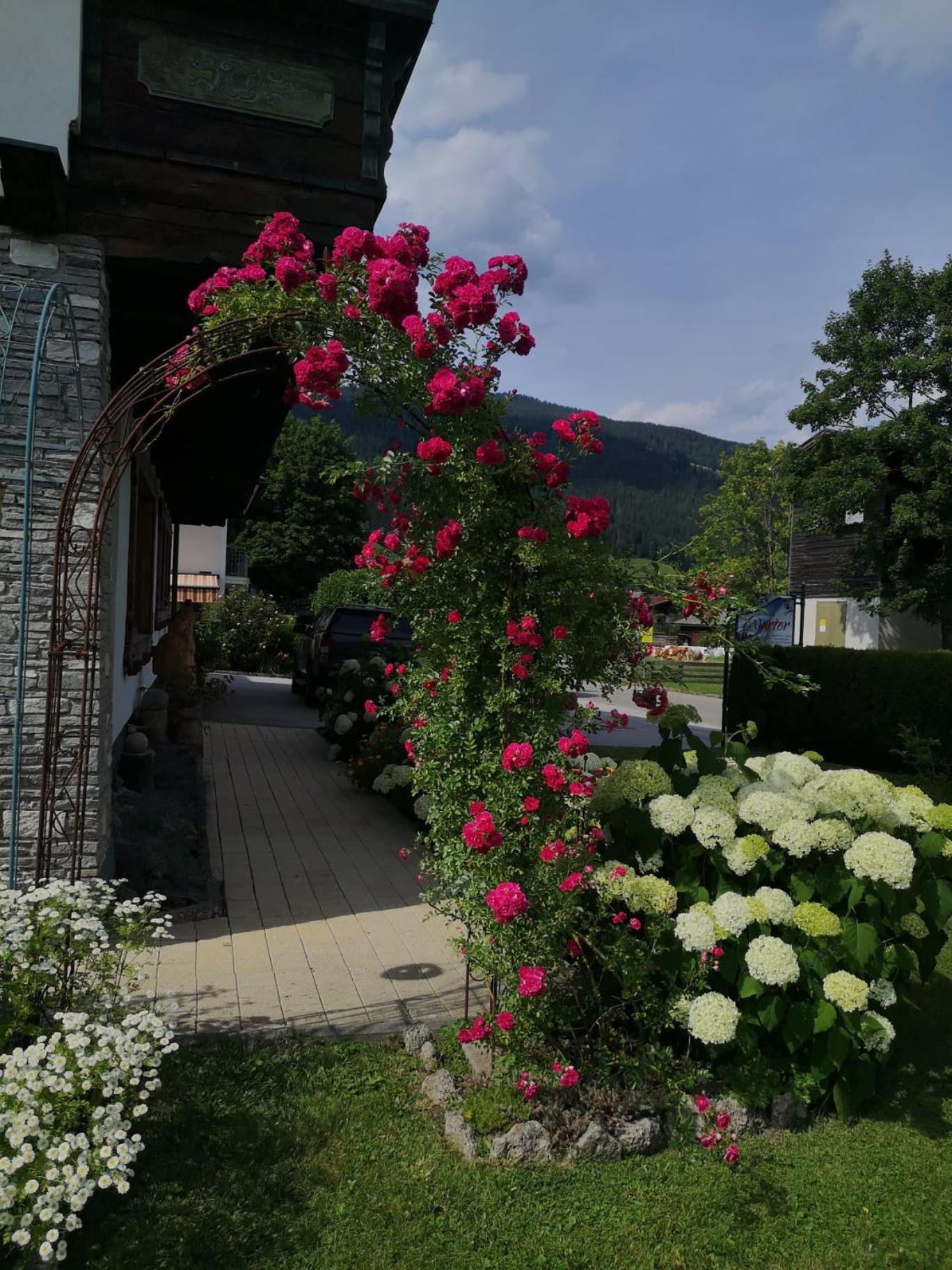 Holiday Im Gaestehaus Warter In Altenmarkt Альтенмаркт-ім-Понгау Екстер'єр фото